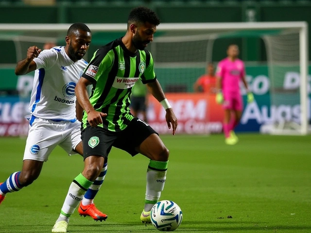 Avaí contra América-MG: Previsão, Estatísticas e Onde Assistir ao Jogo da Série B